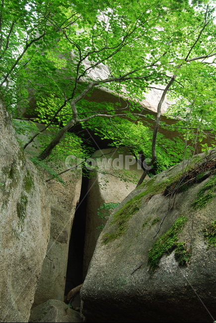 바위,돌,자연,나무,등산로,자연,풍경,nature,landscape,outdoors,옥외,plant,식물