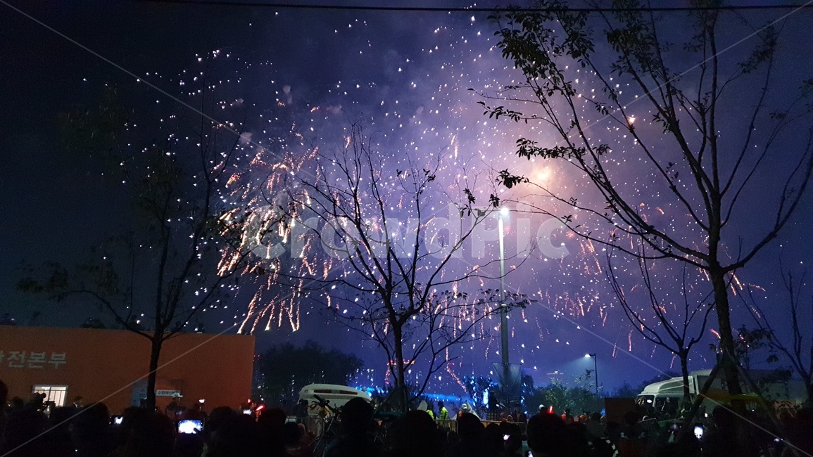 옥외,나무,자연,불꽃,축제,nature,outdoors,night,fireworks,person,사람,nightlife,나이트라이프,human,축제,행사,festival,carnival,event
