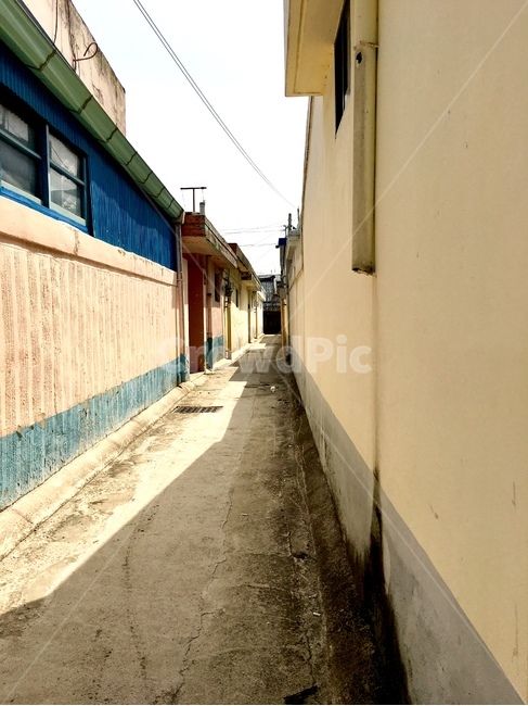 path,통로,walkway,보도,sidewalk,포장,pavement,골목길,담