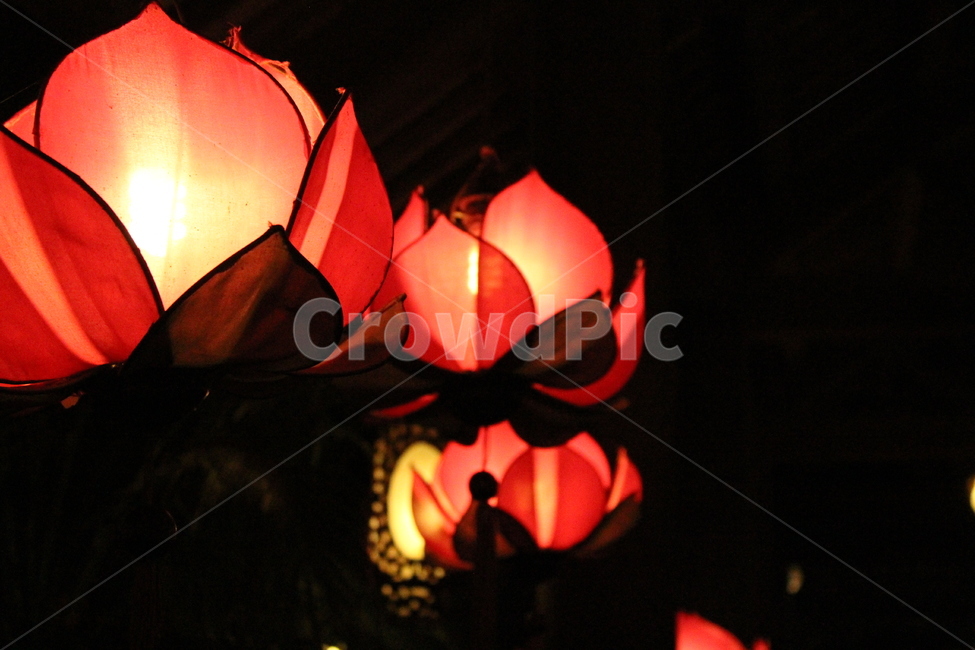 lamp,램프,lampshade,갓,연꽃,연꽃등,등불,종교,신앙,religion,belief,faith