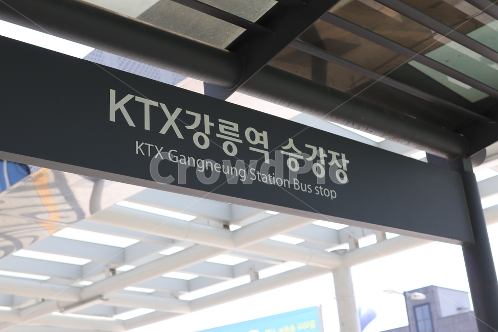 버스정류장,정류장,강릉,ktx,승강장,강릉역,역사,버스,버스타는곳