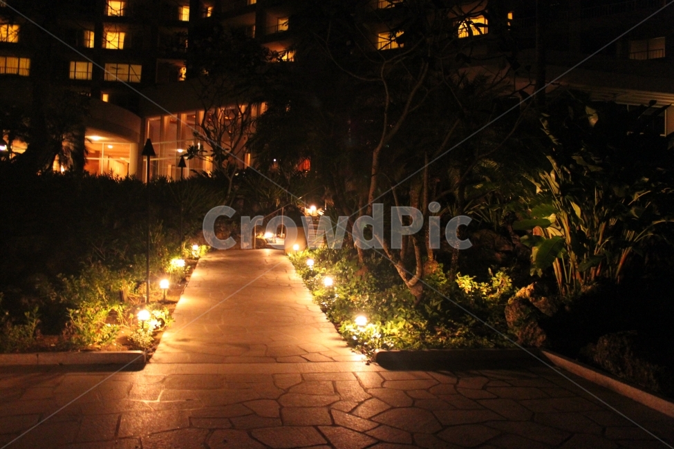 호텔,하야트,괌,미국,조경,조명,감성,야경,밤,풍경,nightscape,night,landscape,flagstone,판석,path,통로,light,빛,flare,플레어,walkway,보도