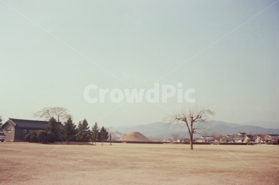 field,outdoors,들,옥외,경주,들판,자연