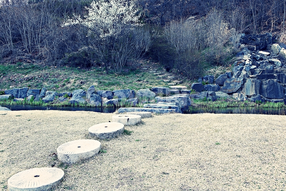 돌길,길,식물,자연,배경,풍경,자연,풍경,nature,landscape