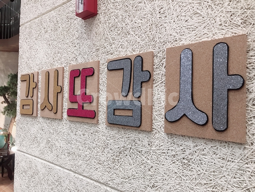 추수감사절,감사,기독교,교회,thanks