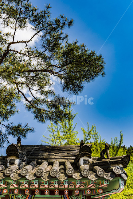 와우정사,기와,지붕,단청,사찰,전통건축,전통가옥,한국전통,한국문화,korean traditional,korean culture,건축물,건물외관,exterior,building,structure,architecture,construction