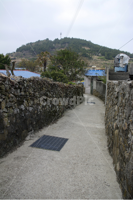골목길,돌담길,돌담,집,시골,길,시골,마을,풍경,landscape,country,rural,town,골목길,alley,wall,벽,outdoors,옥외