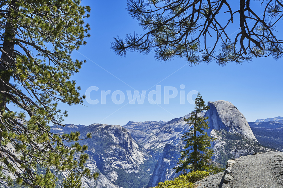 요세미티,yosemite,국립공원,나무,산,풍경,하늘,공원,전망,파노라마,힐링,휴식,바위,자연,풍경,nature,landscape,해외,외국,세계,foreign,oversea,world,세계자연풍경,해외자연풍경,외국자연풍경,world nature landscape,tree,plant,식물,abies,아비,fir,전나무,mountain,outdoors,옥외