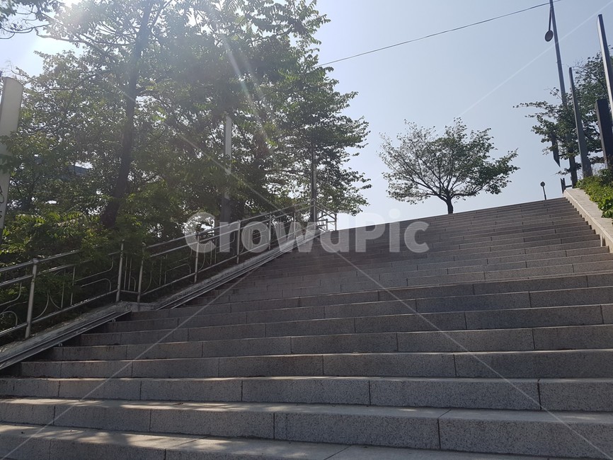 계단,나무,여름,풍경,도시