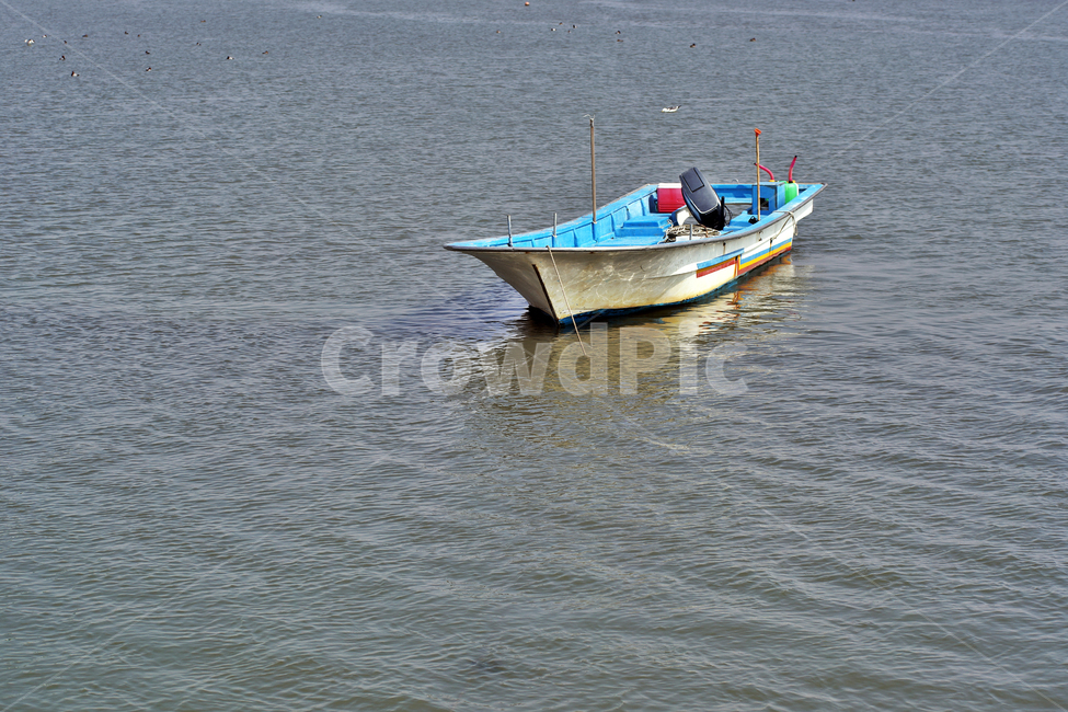보트,어선,고깃배,시화호,바다,어업,fishery,fishing industry
