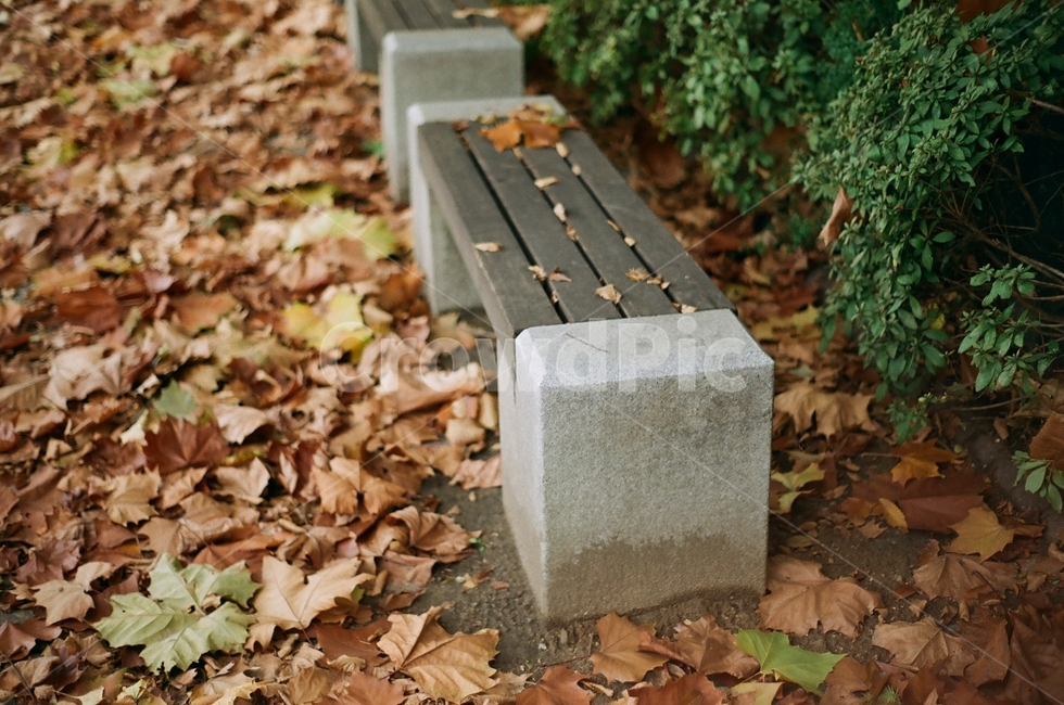 가을,추억,외로움,감성,회상,가을,계절,fall,autumn,season