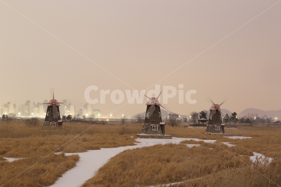 새벽,겨울,자연,눈,풍경,갈대,풀,눈길,풍차,도시,자연,풍경,nature,landscape,한국자연풍경,한국자연경관,korea nature landscape,outdoors,옥외