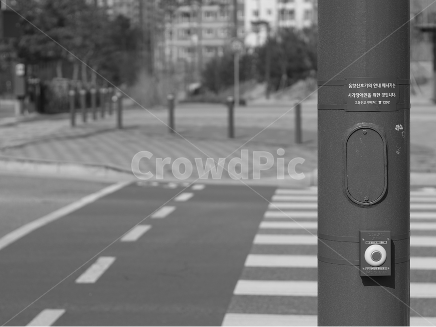 횡단보도,전봇대,road,도로,길가,흑백,모노톤,monochrome,black and white