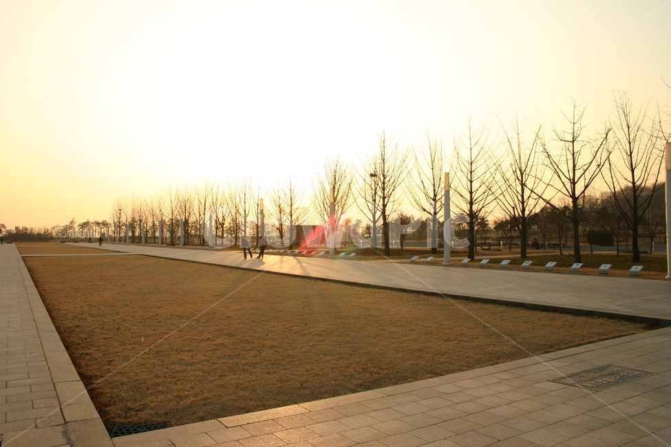 노을,석양,일몰,공원,한적,풍경,금빛,evening,glow,gold,golden,landscape,nature,orange,outdoor,peaceful,redsky,scenery,sky,sun,sunsets