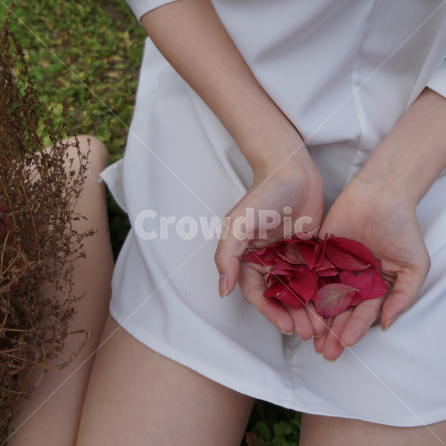 꽃잎,소녀,여자,분위기,girl,female,petal,leaf,낙엽,사람,감성,feeling,감성사진,사람,인물,인간,human,person,신체일부,몸,body,여성,여자,woman,female,lady