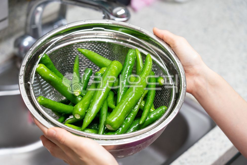 pepper,green,Spicy,Capsaicin,Kimchi Ingredients,Cheongyang pepper,verdure,green pepper,vegetable,food,Kimchi ingredients,ingredients,kitchen