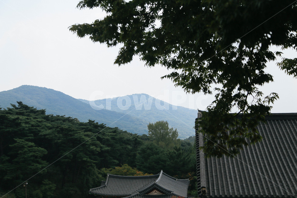 불교,절,스님,한국,풍경,하늘,산,구름,한국전통,한국문화,korean traditional,korean culture,건축물,건물외관,exterior,building,structure,architecture,construction