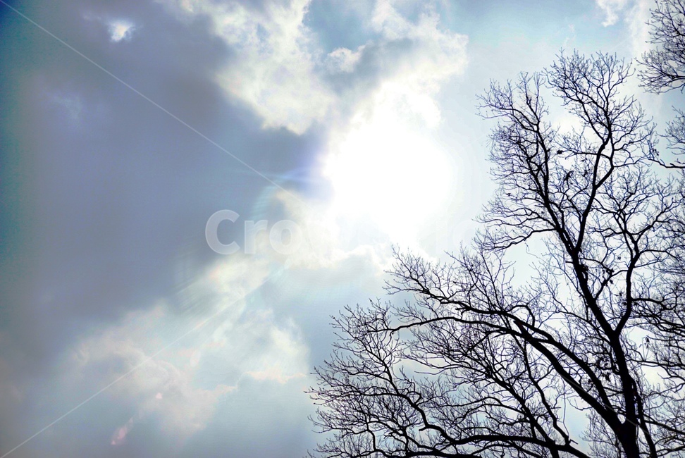 자연,nature,빛,light,outdoors,옥외,날씨