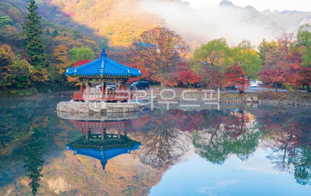 pond,A national park,octagonal pavilion,mountain temple,mountain,Maple tree,sight,Maple,nature,tree,sperm,water,morning,Red,korea,Uhwajeong,Asia,plant,maple,Naejangsa Temple,autumn,lake