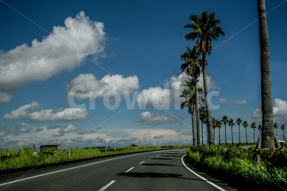 일본,미야자키,도로,풍경,남국,여름,자연,자연,풍경,nature,landscape,교통,교통수단,traffic,transportation,해외,외국,세계,foreign,oversea,world,asphalt,아스팔트,road