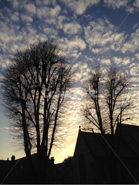 하늘,나무,노을,구름,저녁노을,그림자,유럽,영국,길가,sky,sunset,wayside,unitedkingdom,uk,tree,country,europe,westeurope,shadow,road,dusk,twilight,cloud