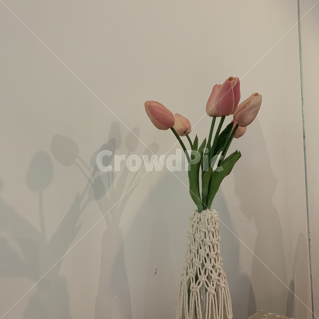 튤립,카페,꽃,인테리어,flower