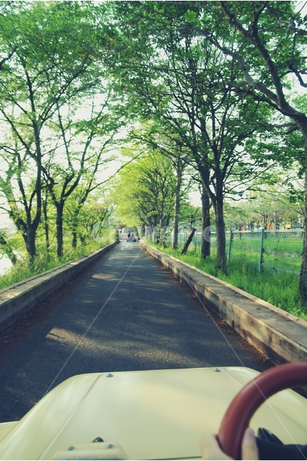 드라이브,운전,주행,자동차,drive,driving,run,car,오픈카,교통,교통수단,traffic,transportation,road,도로