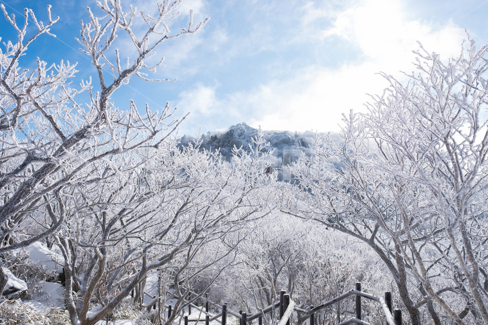 설경,산,겨울산,겨울,눈꽃,눈,등산,능선,추위,도전,하늘,구름,정상,흐림,덕유산,계절,winter,season,자연풍경,nature,landscape,한국자연풍경,한국자연경관,koreanaturelandscape,바람,흩날리다,무주,향적봉,상고대,눈보라,폭설,설산,설국,겨울,계절,winter,season,자연,풍경,nature,landscape,한국자연풍경,한국자연경관,korea nature landscape,outdoors,옥외,ice,빙,snow,frost,서리