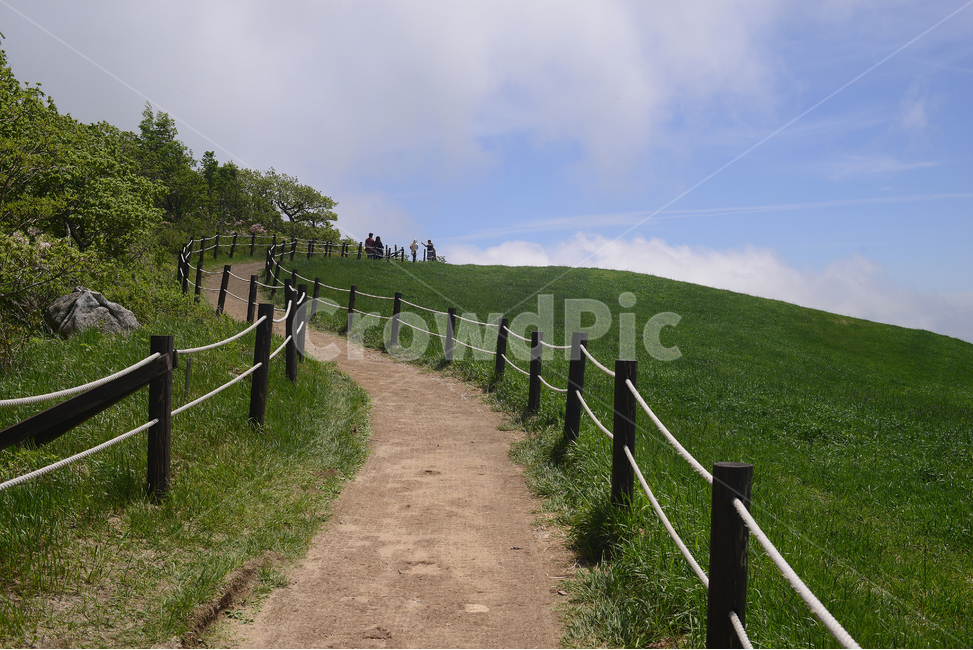 자연,풍경,하늘,구름,목장,초록,하양,nature,landscape,sky,green,korea,road,길,자연,풍경,nature,landscape,사람들,대중,군중,other people,crowd,grassland,목초지,field,들,outdoors,옥외