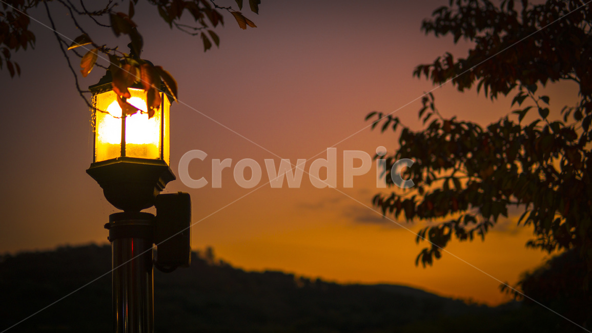 라이트,울산,서남,남구,밤,저녁노을,자연,nature,landscape,경치,풍경,야경,밤,풍경,nightscape,night,landscape,lamp,램프