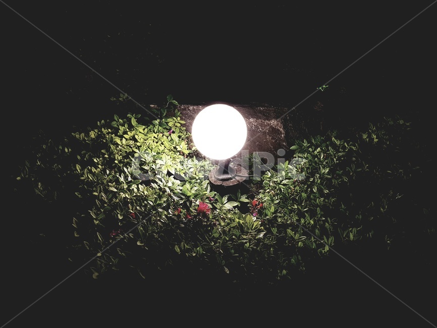 힐링,배경,밤,밤배경,분위기