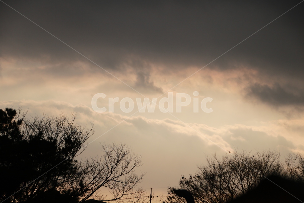 하늘,풍경,나무,먹구름,실루엣,자연,풍경,nature,landscape,실루엣,그림자,silhouette,shadow,weather,날씨,outdoors,옥외