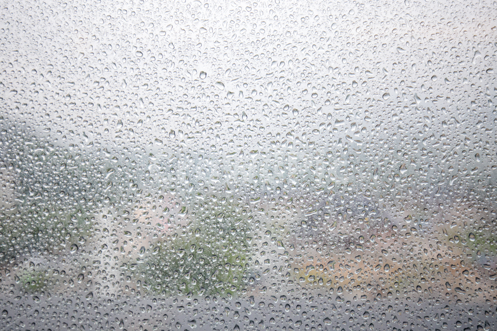 비오는날,감성,풍경,유리,물방울,빗방울,비,날씨,자연,rain,rainday,landscape,weather,emotions,rainy,feeling,비,비오는날,rain,rainy
