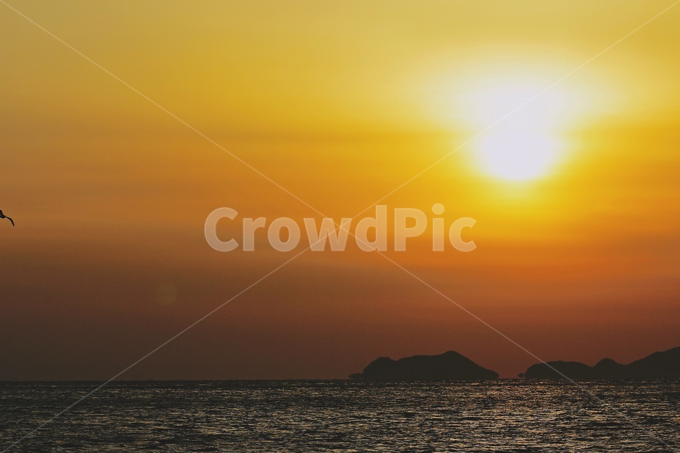 일출,바닷가,섬,갈매기,붉은일출,sunrise,seagull,seaside,island,자연,풍경,nature,landscape,outdoors,옥외