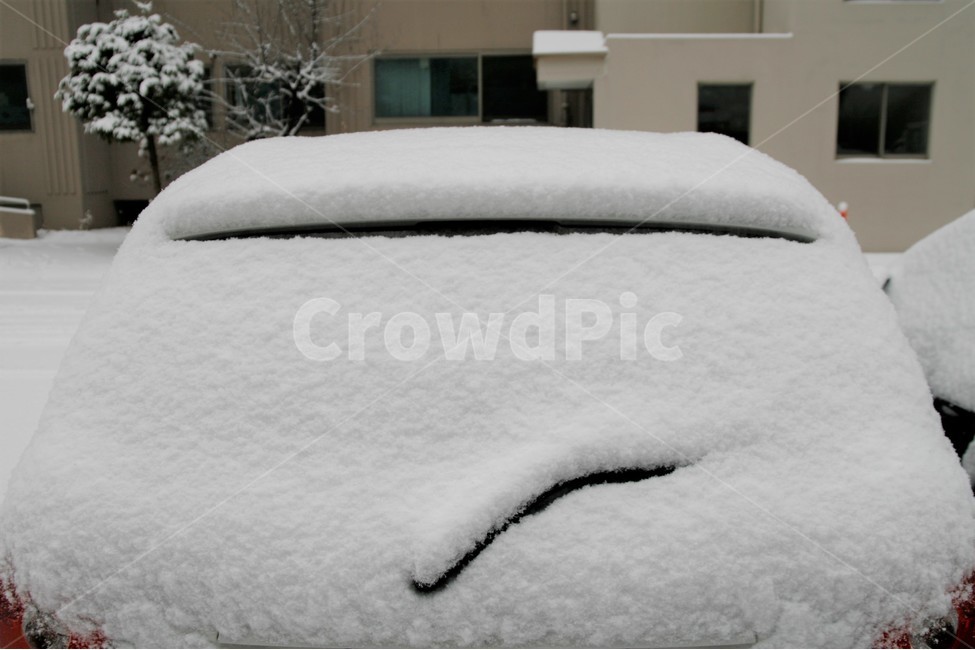 폭설,겨울,주차장,풍경,자동차,승용차,주차,계절,아파트,겨울,계절,winter,season,교통,교통수단,traffic,transportation