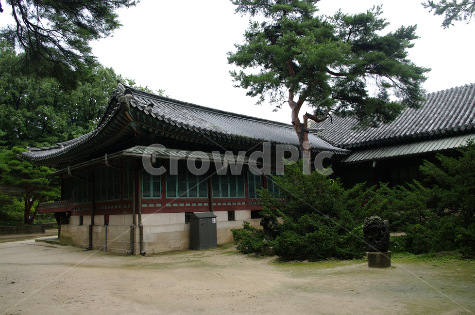 창덕궁,고궁,전각,한옥,전통가옥,기와지붕,건축,traditional,한국전통,한국문화,korean traditional,korean culture,랜드마크,landmark,tourist attraction,한국랜드마크,한국관광지,한국명소,korea landmark,korea tourist attraction,건축물,건물외관,exterior,building,structure,architecture,construction