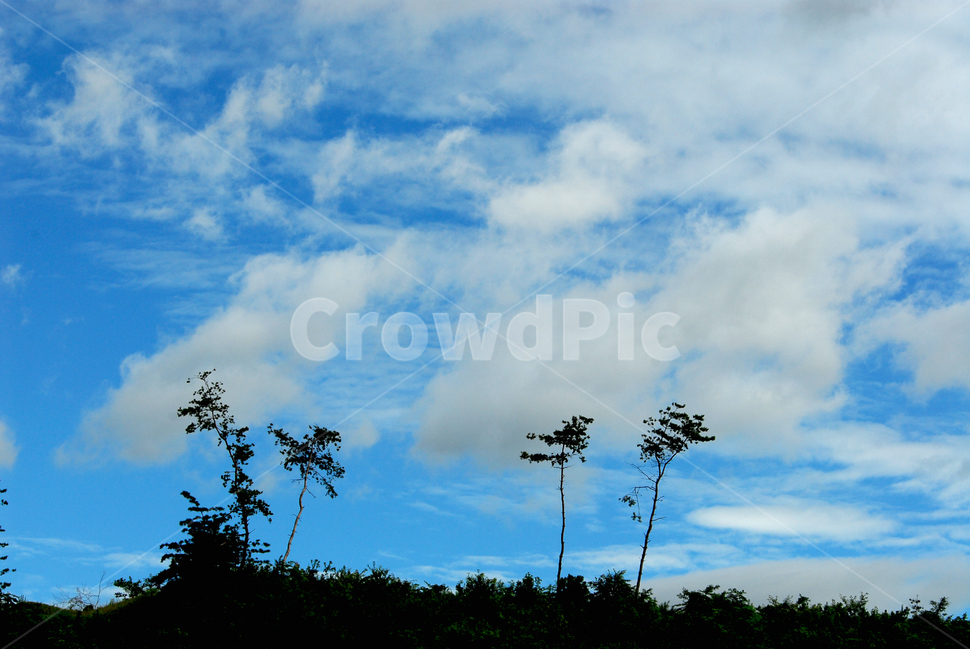 구름,하늘,가을하늘,푸른하늘,흰구름,자연,sky,weather,자연,풍경,nature,landscape