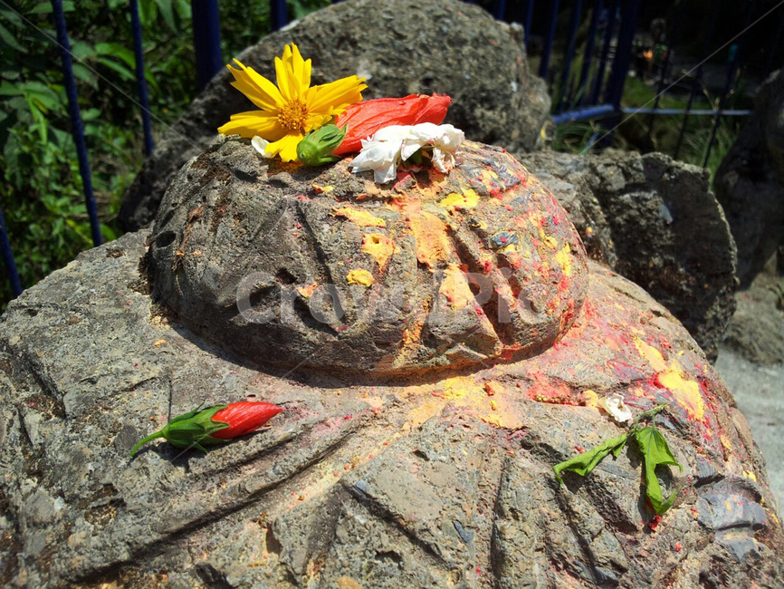 꽃,flower,소원,기원,wishflower,꽃,flower