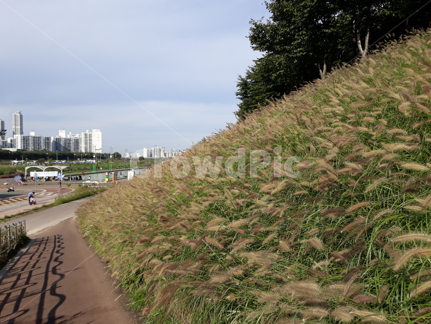 경사,outdoors,옥외,field,목초지,도로