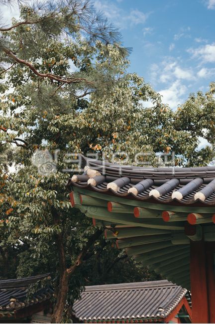 종묘,한국,건축물,전통기와,기와지붕,건물,서울,관광지,대한민국,지붕