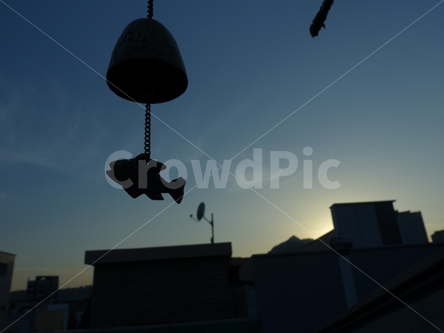 붕어,종,건물,풍경,하늘,감성,느낌,감성사진,파란,스카이,일상,사진,풍경사진,배경화면,한국전통,한국문화,korean traditional,korean culture