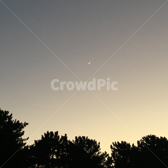 일본,후쿠오카,모모치해변,달,저녁달,야경,밤,풍경,nightscape,night,landscape,nature,자연,outdoors,옥외