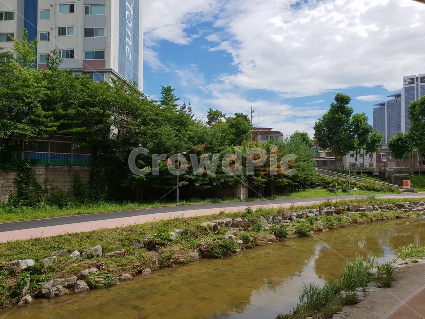 water,ditch,도랑,outdoors,물,내천,천,중랑천,냇가,자전거도로