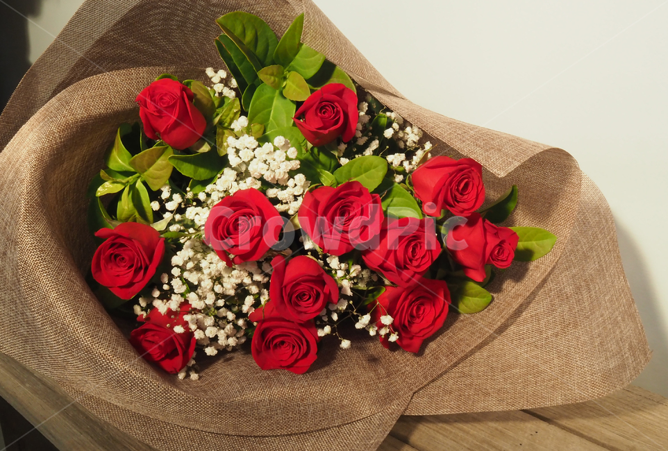 꽃,포장,러브,선물,발렌타인,꽃,flower,기념일,축하,anniversary,congratulation,celebrate,celebration