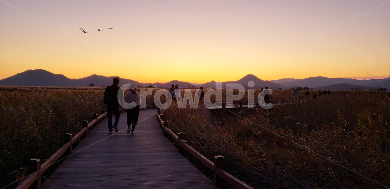 light,sunlight,sunset,순천만,travel,korea,suncheonbay,golden,플레어,flare,scenery,픙경,인간,human,boardwalk,산책로,새,bird,연인,couple
