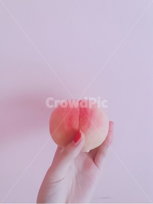 복숭아,과일,분홍,봉숭아,손