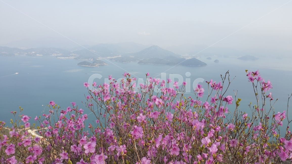 사량도,사량도지리산,진달래,봄,풍경,바다,섬