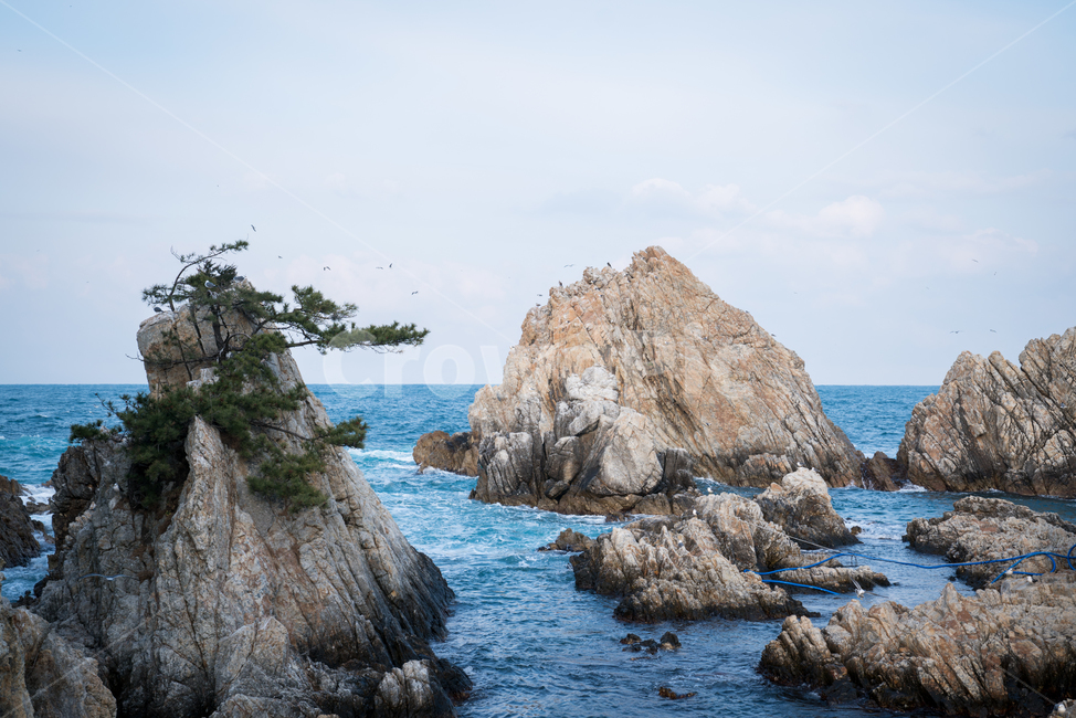 자연,바다,겨울,삼척,장호항,푸른바다,겨울바다,바다바위,동해바다,자연,풍경,nature,landscape