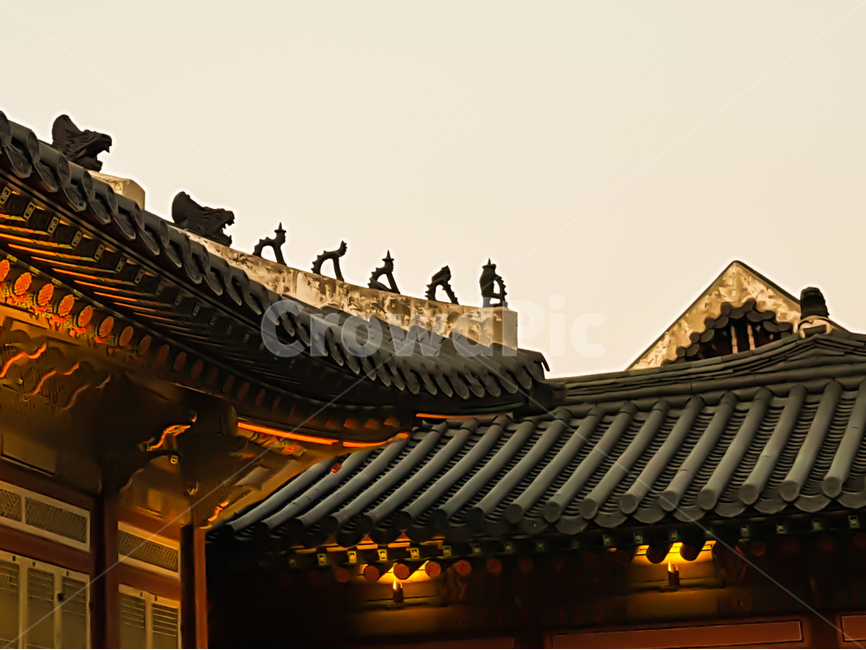 경복궁,서울,야경,광화문,고궁,사진,야간개장,종각,종로,야경,밤,풍경,nightscape,night,landscape,한국전통,한국문화,korean traditional,korean culture,랜드마크,landmark,tourist attraction,한국랜드마크,한국관광지,한국명소,korea landmark,korea tourist attraction,건축물,건물외관,exterior,building,structure,architecture,construction,roof,지붕,animal,동물,bird,새
