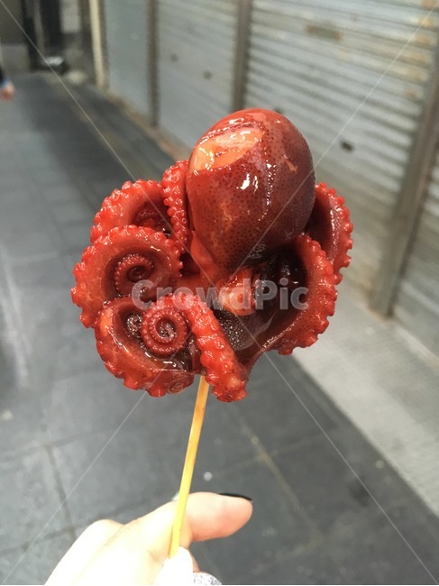 문어,음식,길거리음식,꼬치요리,food